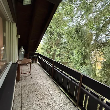 Skywalk Loft * Willingen (Upland)